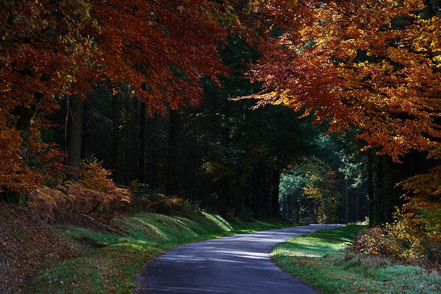 Le Relais Des Lacs Bourgogne Morvan Planchez المظهر الخارجي الصورة